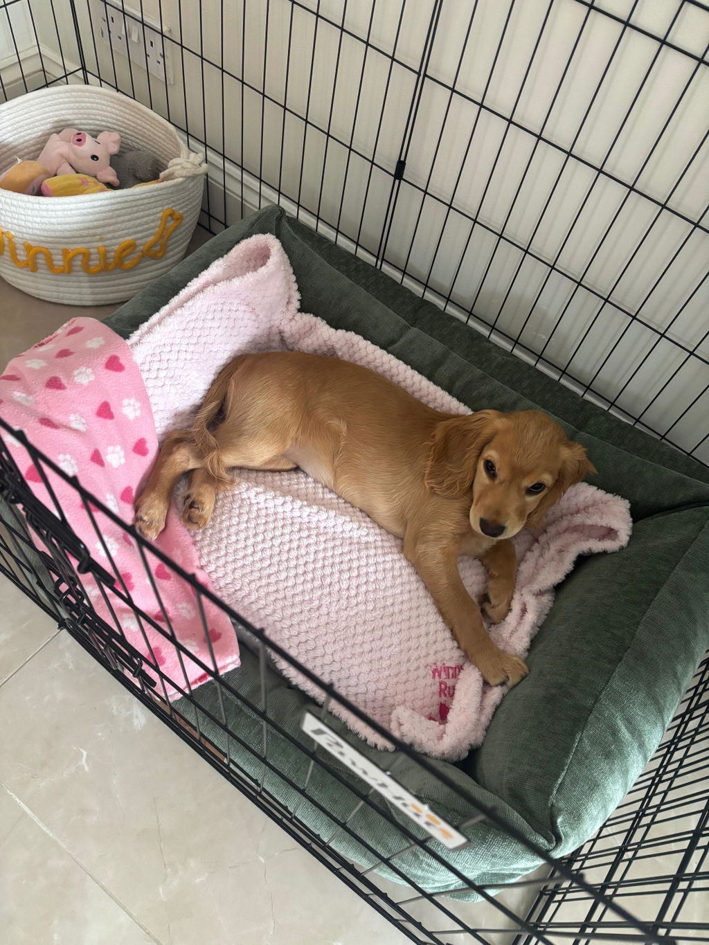 The Ultimate - Eco Friendly Orthopaedic Luxury Dog Bed, Sage Green