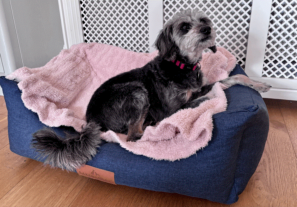 The Comfort - Eco Friendly Orthopaedic Luxury Dog Bed, Navy Blue