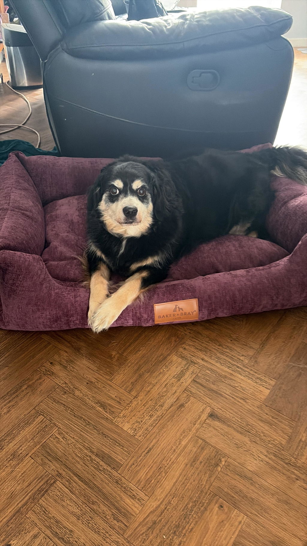 The Ultimate - Eco Friendly Orthopaedic Luxury Dog Bed, Rhubarb Red