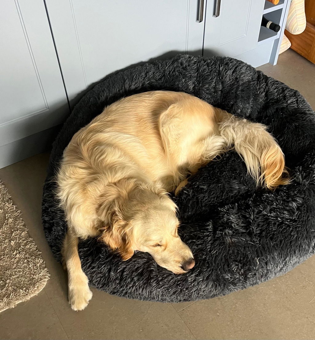 The Donut - Eco Friendly Luxury Calming Donut Dog Bed, Dark Grey
