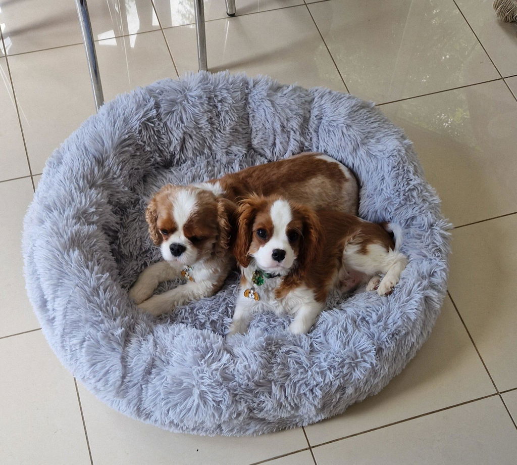 The Donut - Eco Friendly Luxury Calming Donut Dog Bed, Light Grey