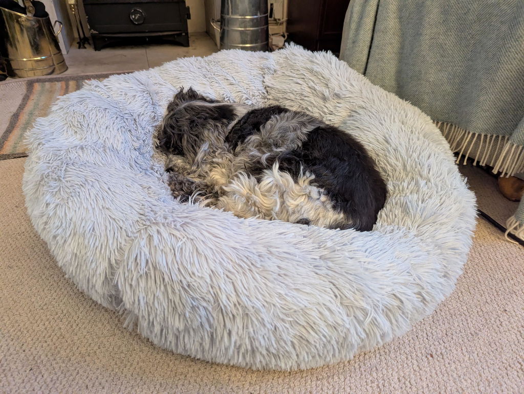 The Donut - Eco Friendly Luxury Calming Donut Dog Bed, Light Grey