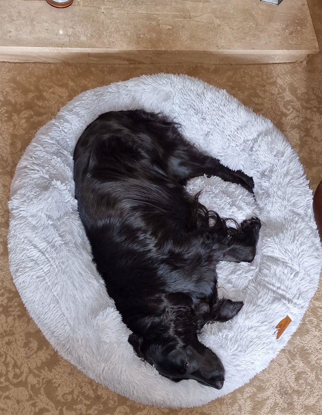 The Donut - Eco Friendly Luxury Calming Donut Dog Bed, Light Grey