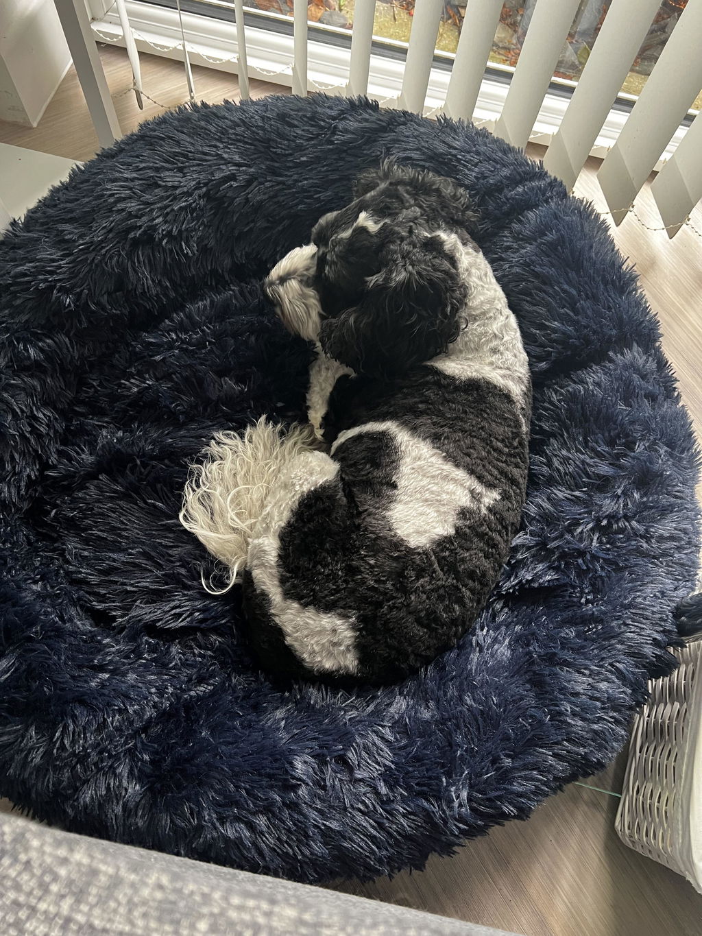 The Donut - Eco Friendly Luxury Calming Donut Dog Bed, Navy