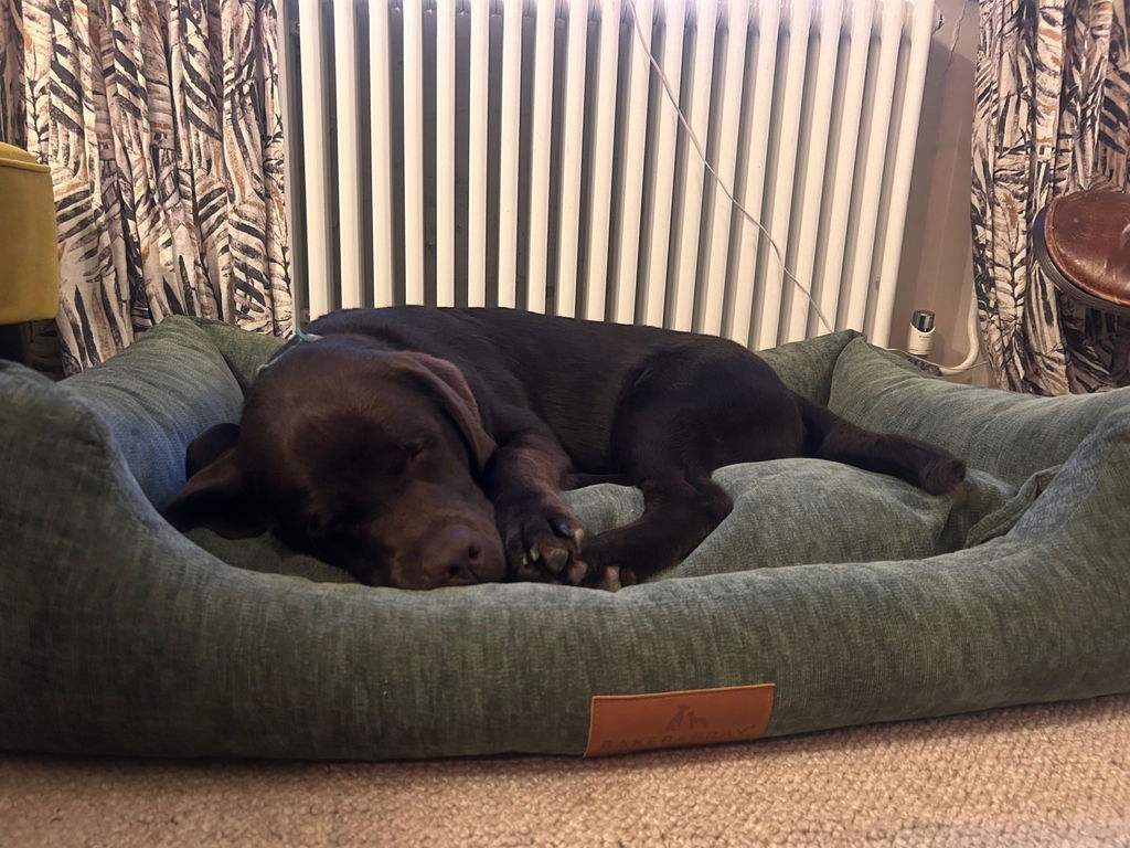 The Ultimate - Eco Friendly Orthopaedic Luxury Dog Bed, Navy Blue