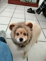 User picture