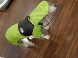 DogFace™ Raincoat