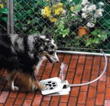 Automatic Dog Paw Water Fountain Dispenser