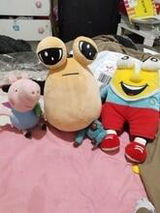 User picture