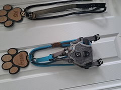 Review picture