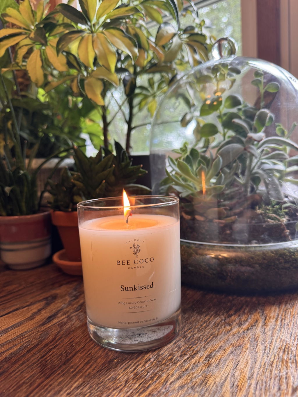 Sunkissed 13 oz