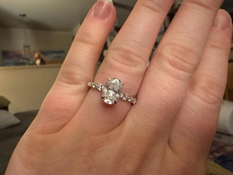 2.0CT-4.0CT Oval Cut Moissanite Hidden Halo Engagement Ring