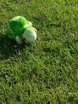 User picture