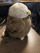 User picture
