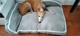 Festive Plush Pet Bed – Warm Bedding for All Sizes