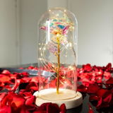 Rose Love™ Rose Flower LED Light Preserved Roses In Glass