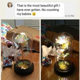 Rose Love™ Rose Flower LED Light Preserved Roses In Glass