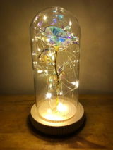 Rose Love™ Rose Flower LED Light Preserved Roses In Glass