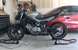 User picture