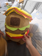 User picture