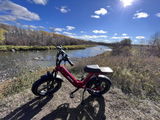 User picture