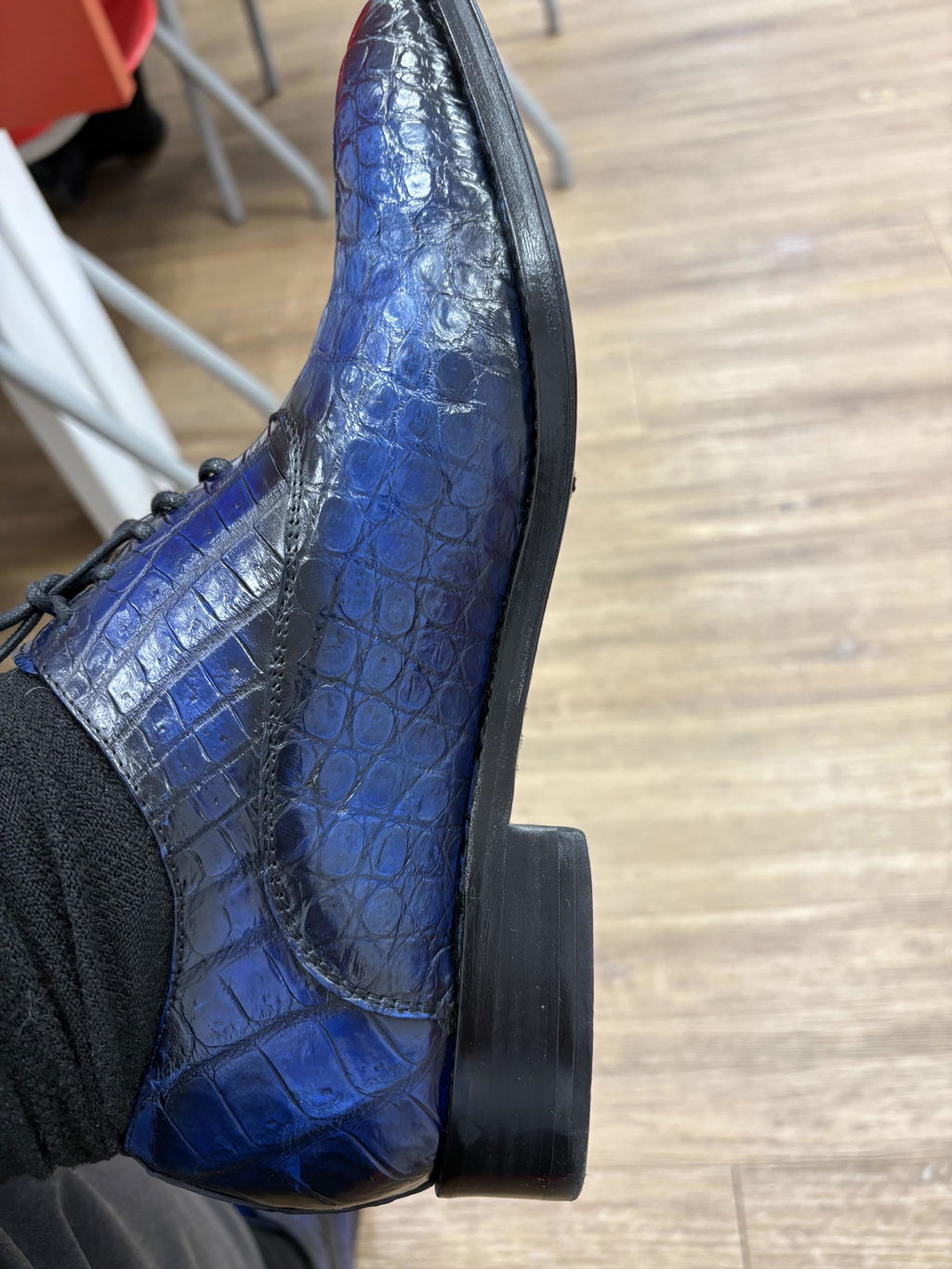 BLUE CROCO ALEXANDER