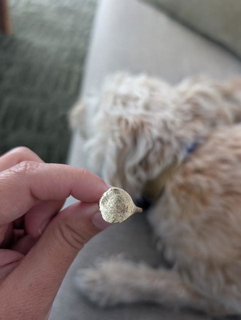 Dog Nose Print Signet Ring