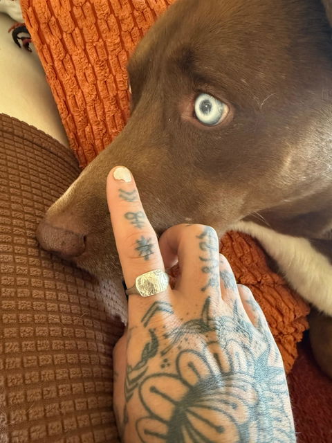 Dog Nose Print Signet Ring