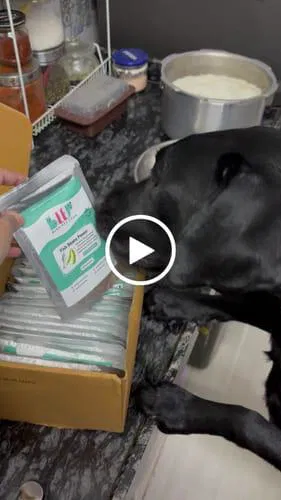 Monthly Pack of Fish Beans Fresh Dog Food