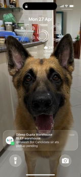 User picture