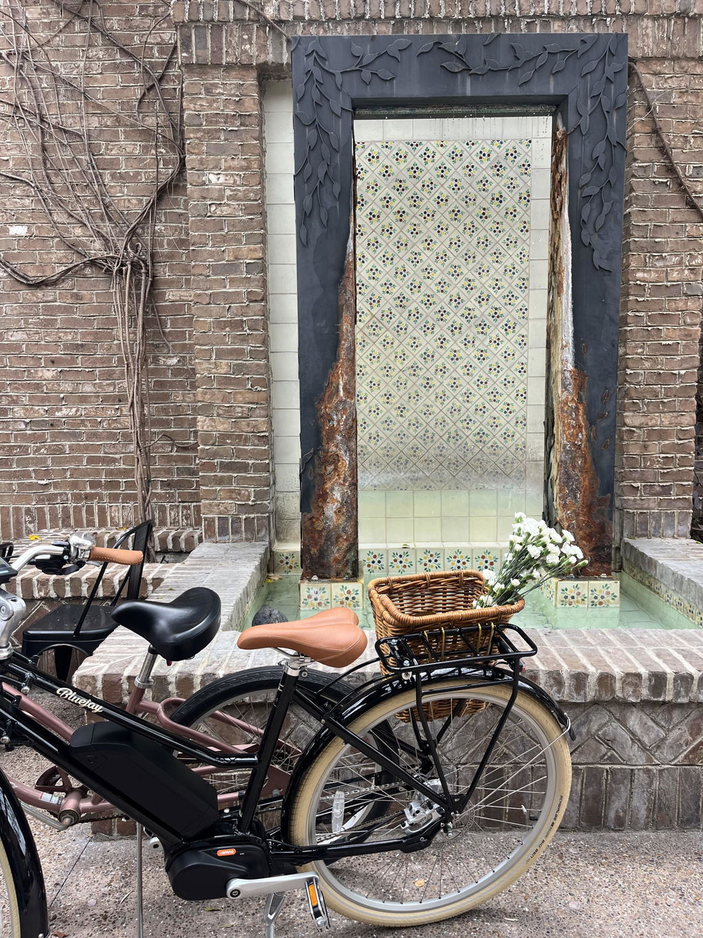 Bluejay Premiere - Classic Black Electric Bike