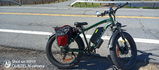 Bluvall F1 Pro Electric Bike - Dual Motors, Dual Batteries