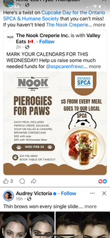 User picture