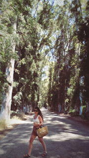 Hande S.