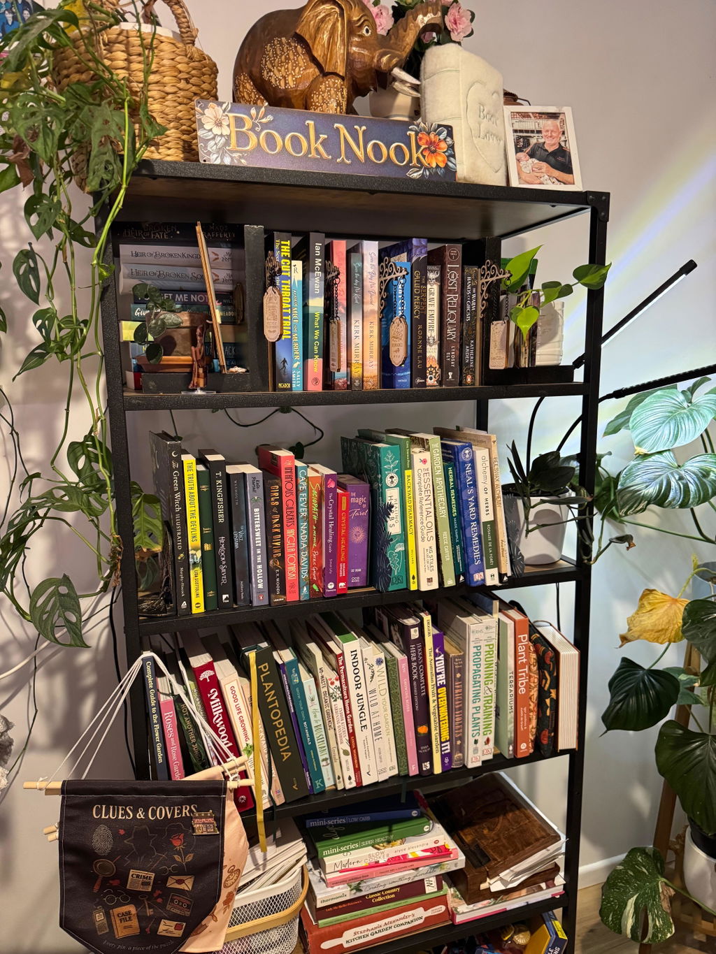 Book Box
