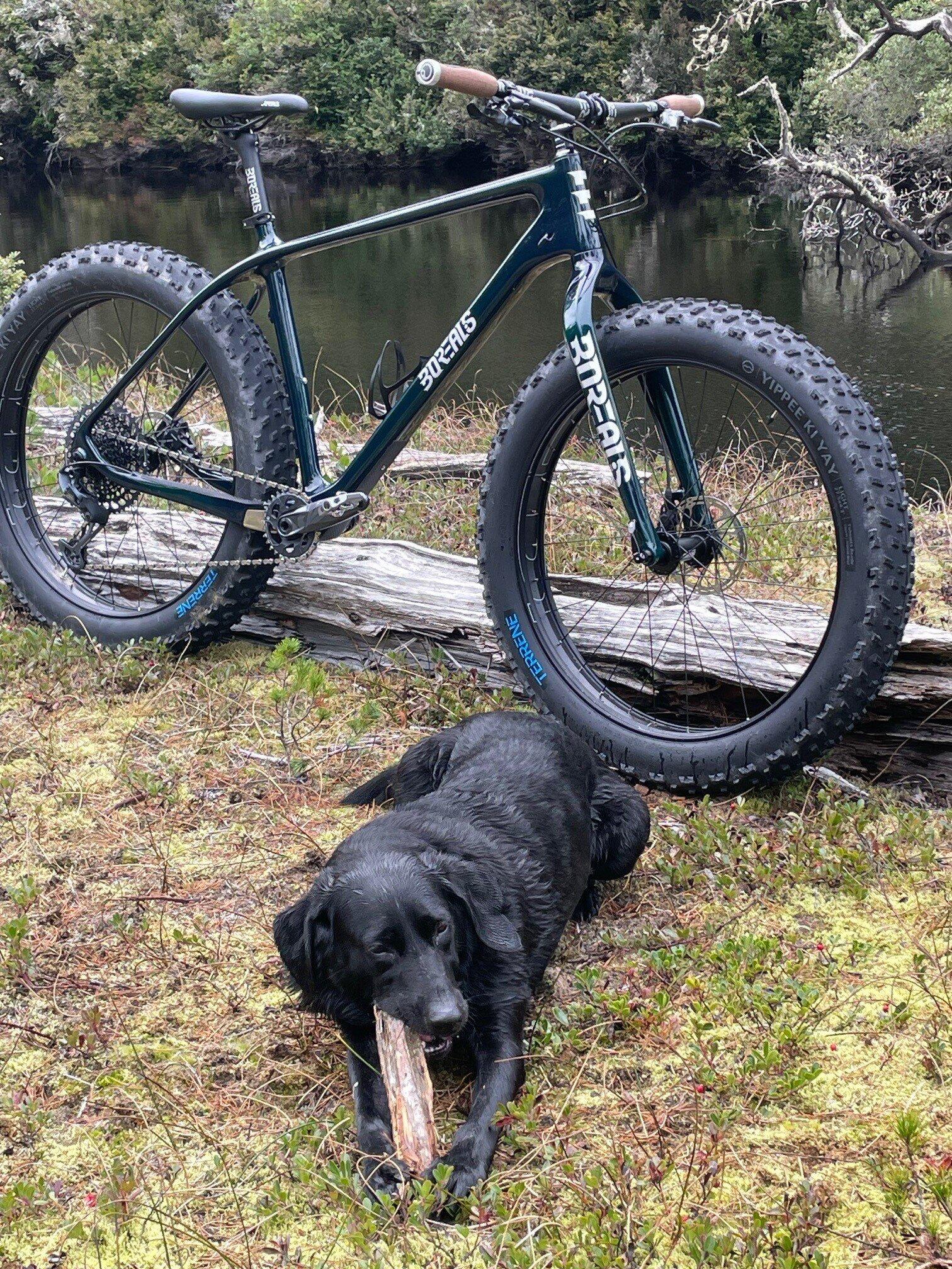 Borealis Flat Pedals (Alloy) – Borealis Fat Bikes