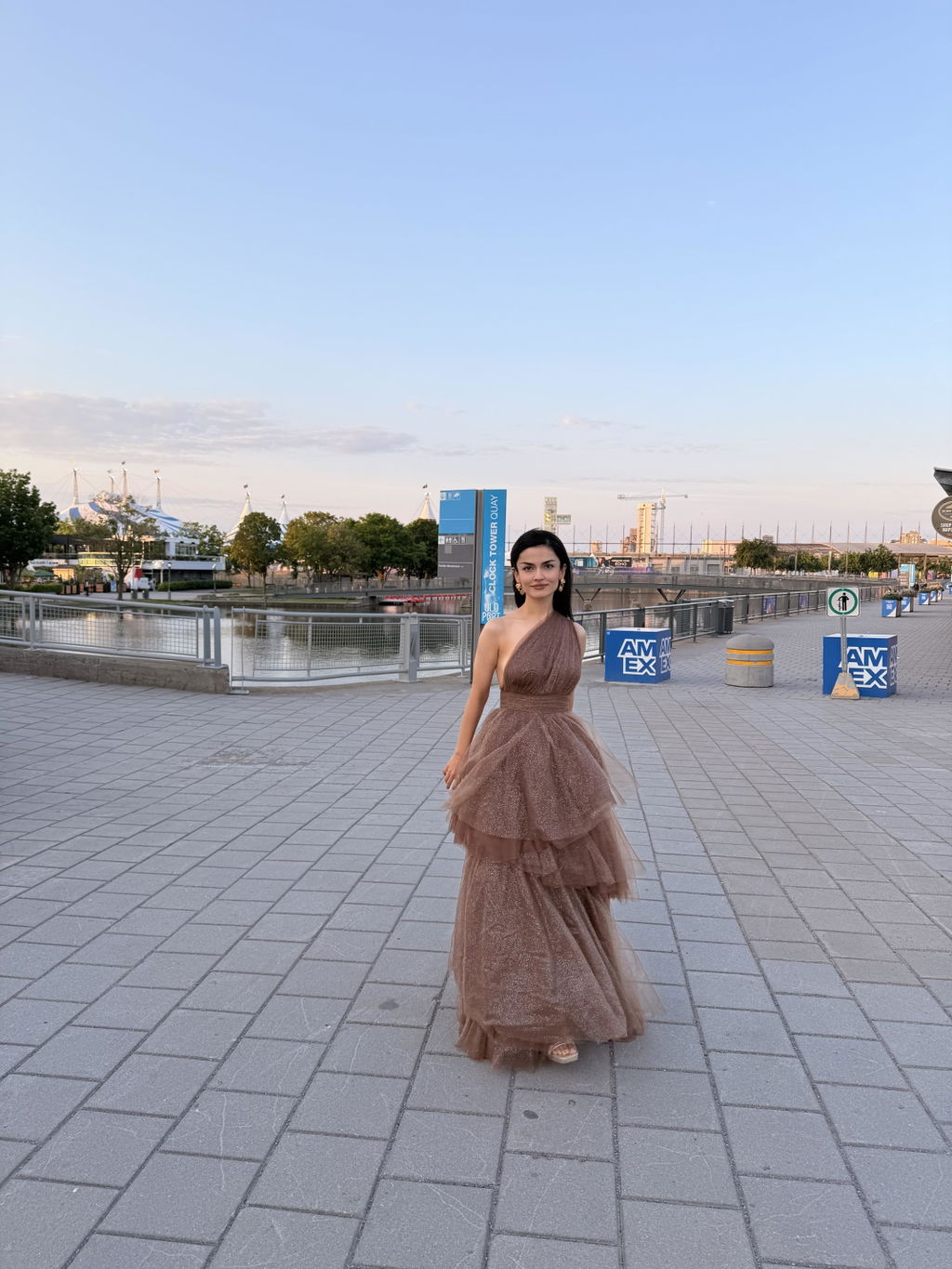 Cody Brown | Maxi One Shoulder Dress with Glitters