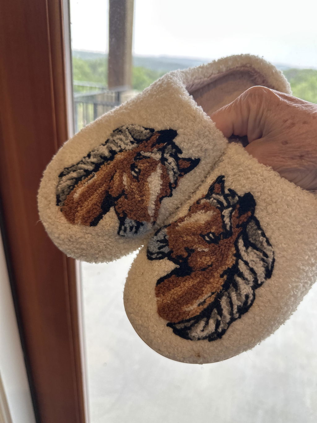 Cozy Horse Slippers