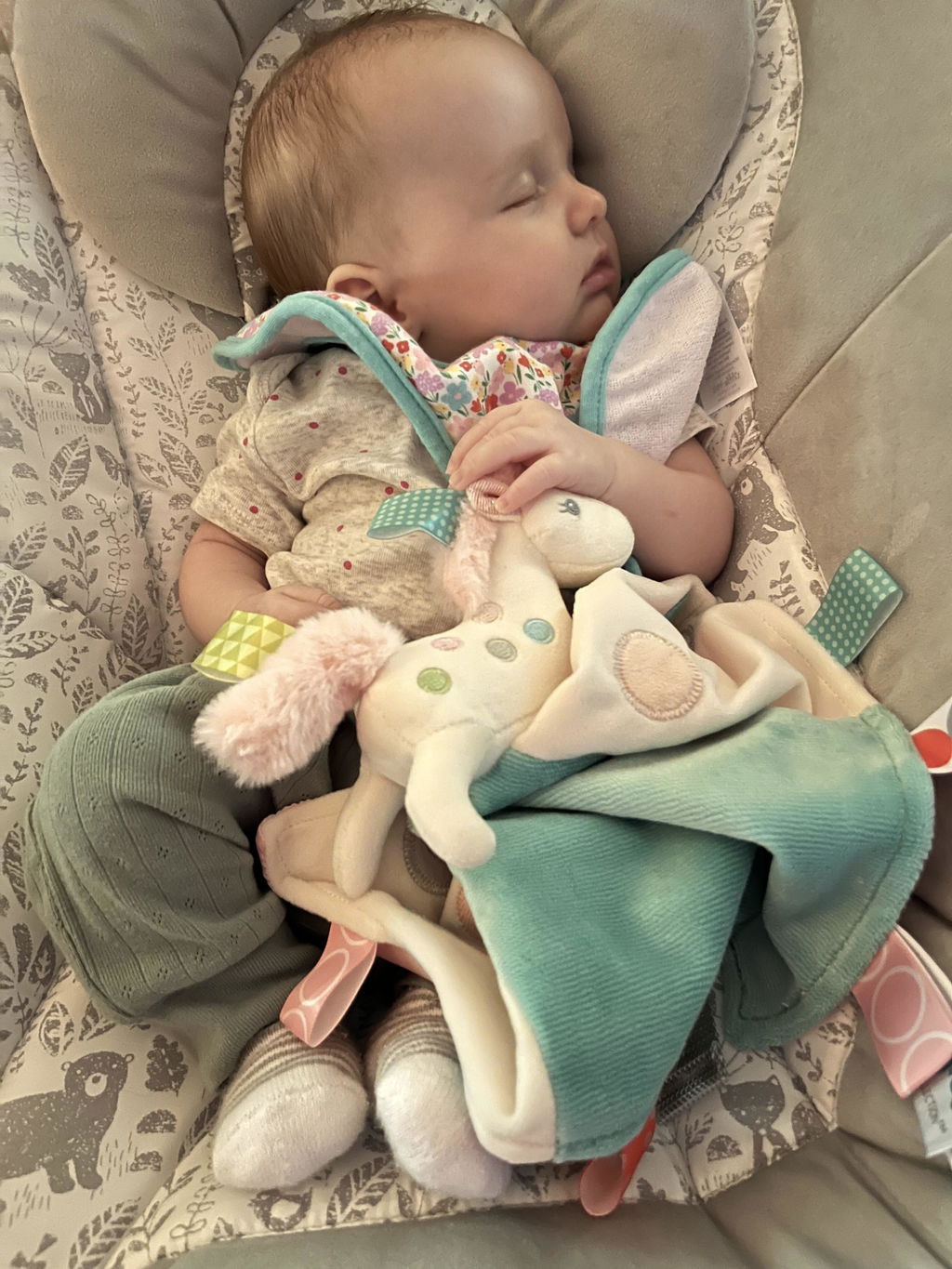 Taggies Pony Blanket