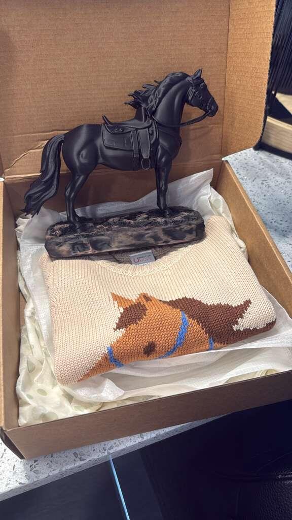 Pony Pal Toddler Knit Sweater