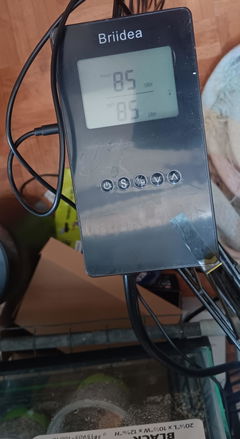 Review picture