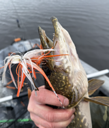 “The Old Timer” 3/8-oz Buck Tail Clatter Baits
