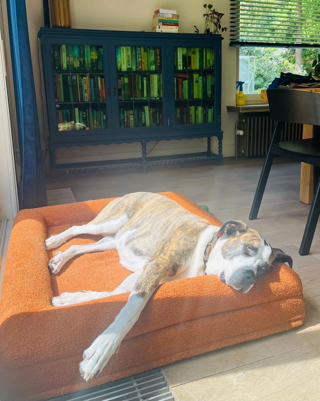 Tweedekans Buddy Bed