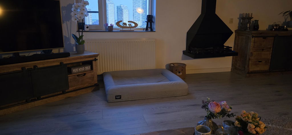 Large Buddy Bed
