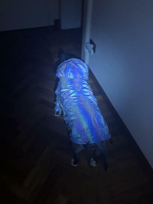 Reflective Dog Coat