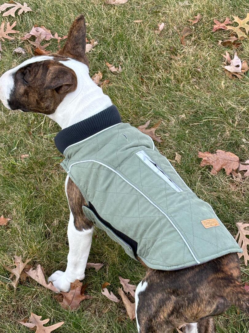Waterproof Vest With Elastic Collar