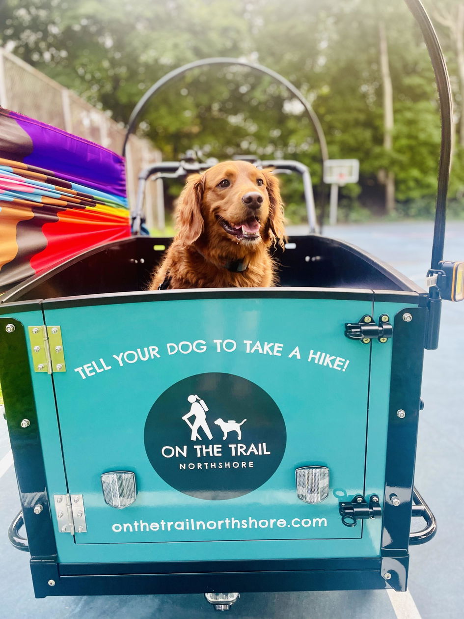 The K9 - Electric Cargo Bike for Dogs