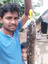 User picture