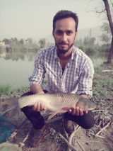 User picture