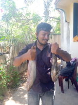 User picture